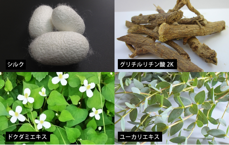 シルク由来成分×植物エキス