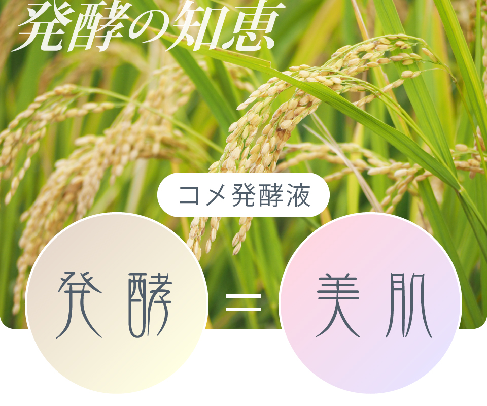 発酵×シルクで、角質層までうるおい届ける