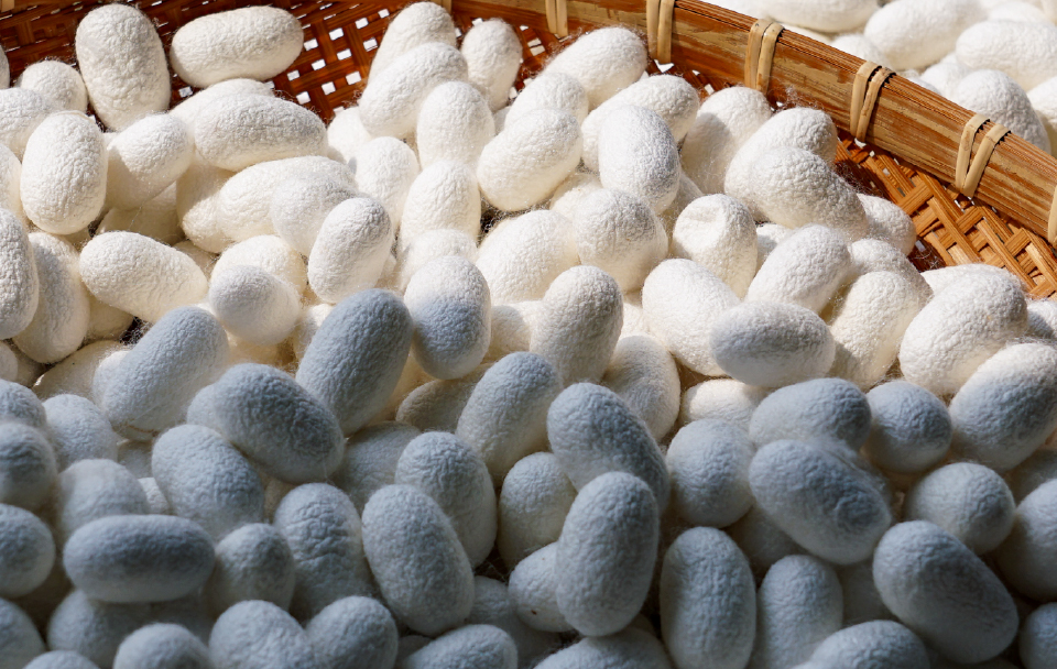 京都しるくのこだわり